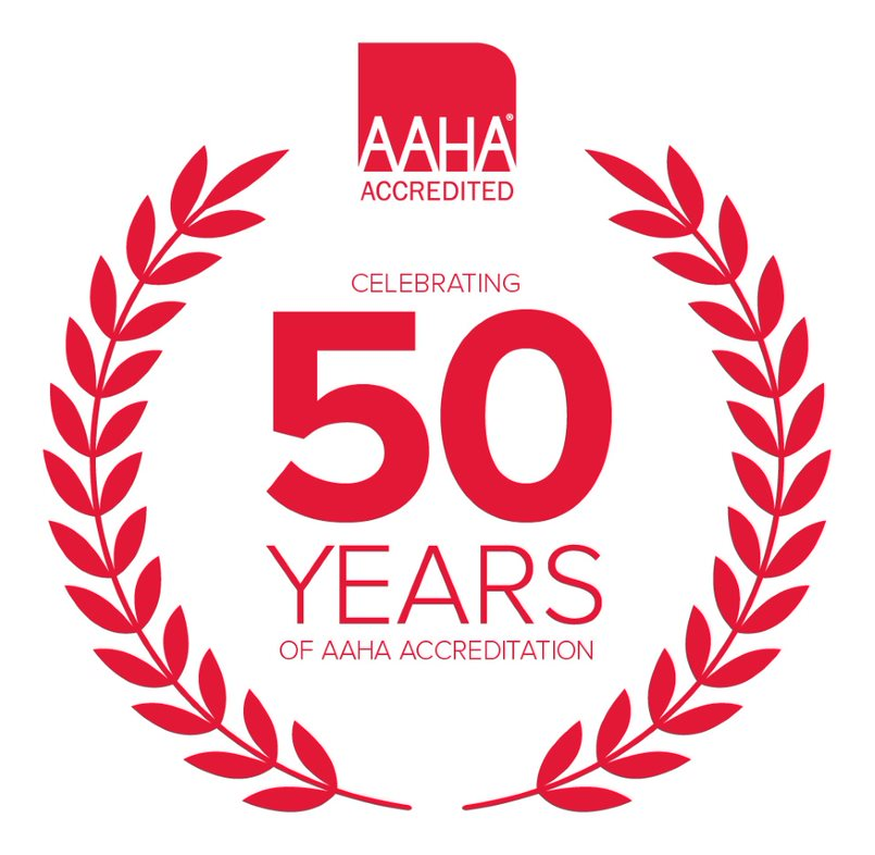 50 year logo
